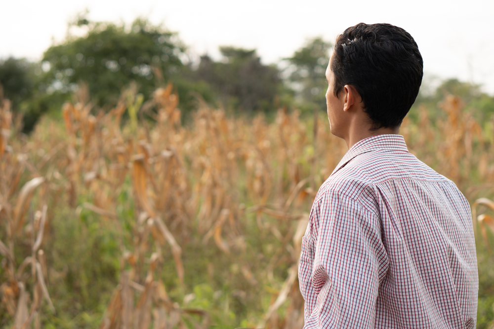 Landwirt vor Maisfeld Südamerika