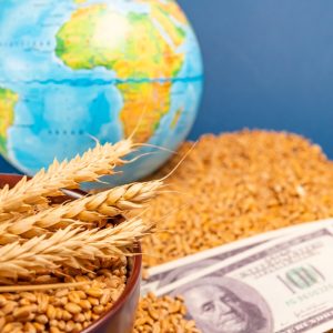 Weizenernte und Dollarscheine vor Afrika-Landkarte