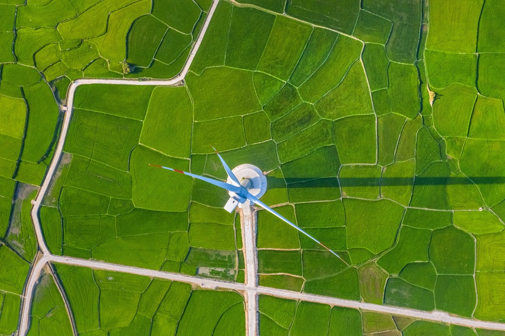 Windkraftanlage über Reisfeldern