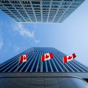 Kanada-Flaggen zwischen Hochhäusern